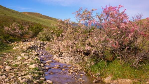 Azerbaijan adopts National Water Strategy to promote integrated water management 